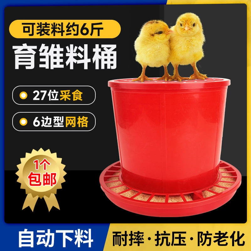 鹌鹑鸡鸭鹅鸽子用自动下料防撒育雏饲料桶食槽养殖设备