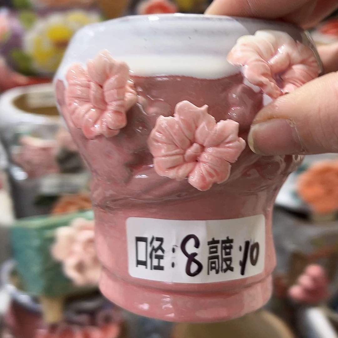 【闪购商品】红陶福利