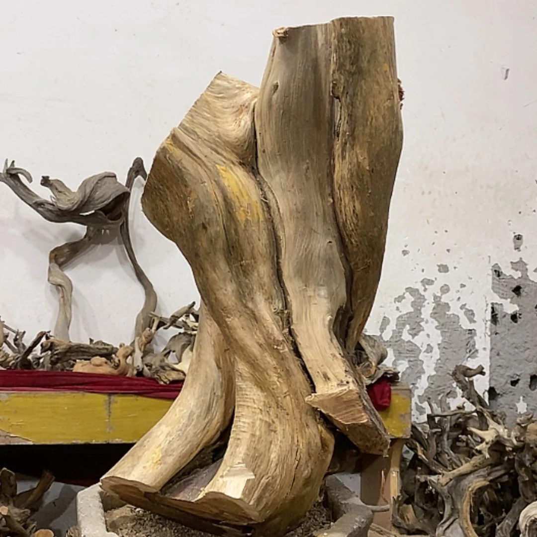 【闪购商品】柏木上****签我们都是好孩子