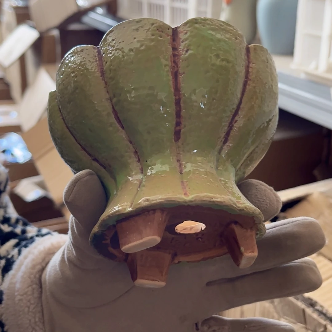 【闪购商品】红陶福利