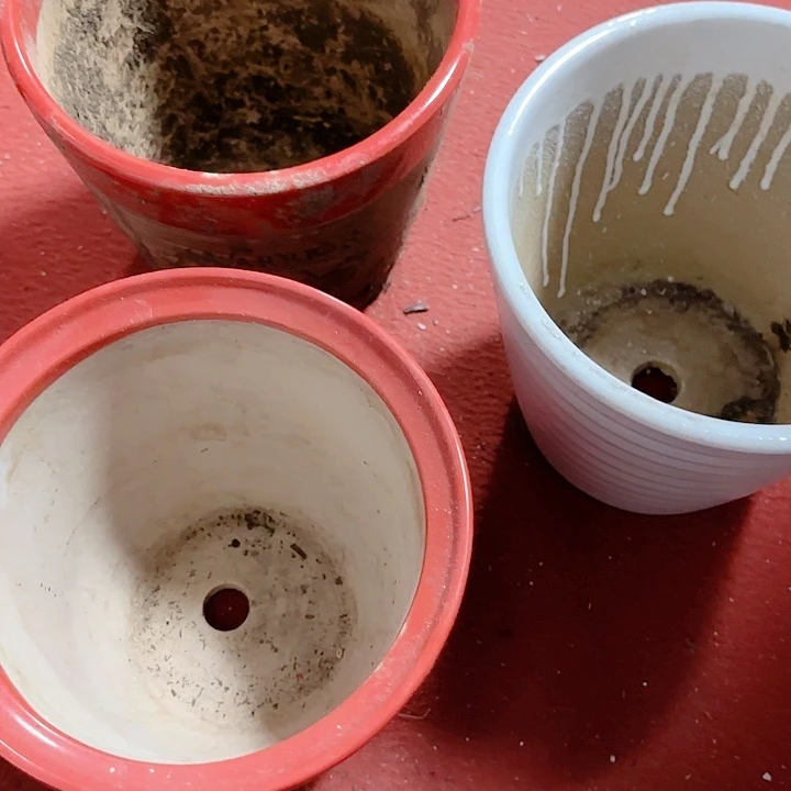 摆件用****9陶瓷摆件不固定3个