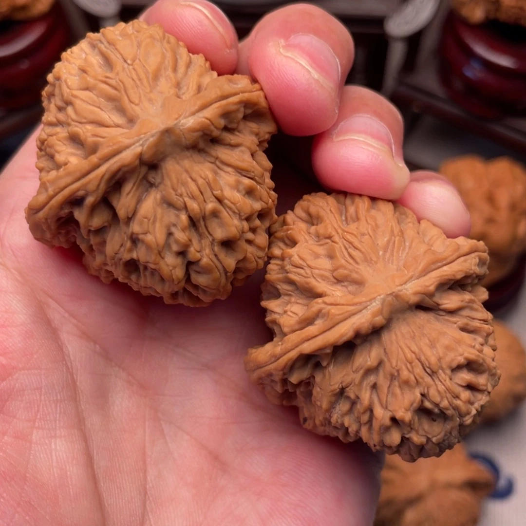 46.8全品红皮筷子筋南疆40+