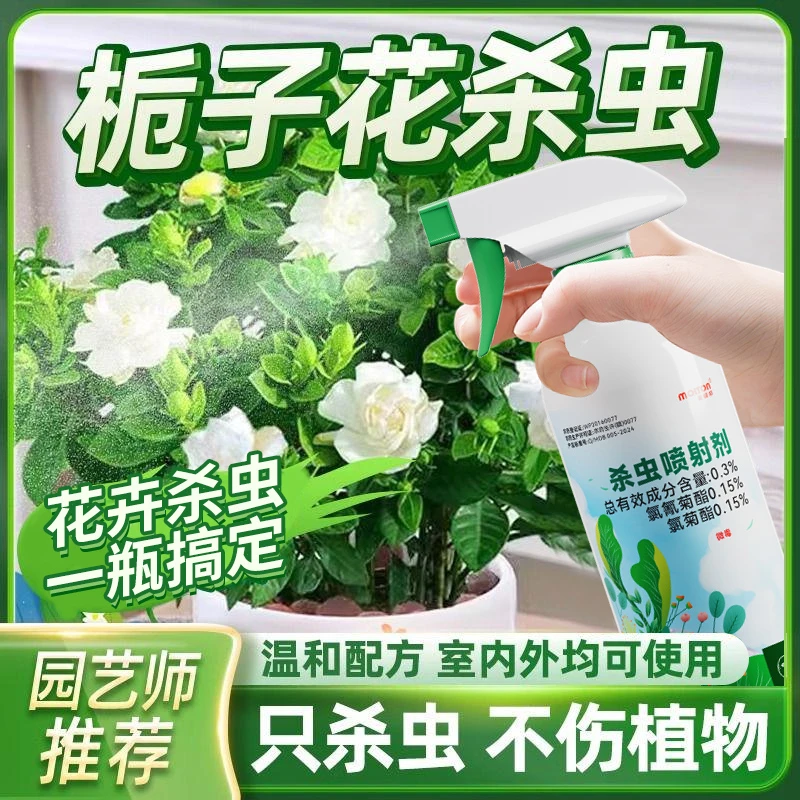 栀子花杀虫剂除虫驱虫专用药虫子防虫桅子虫药蚜虫长虫花生白虫长