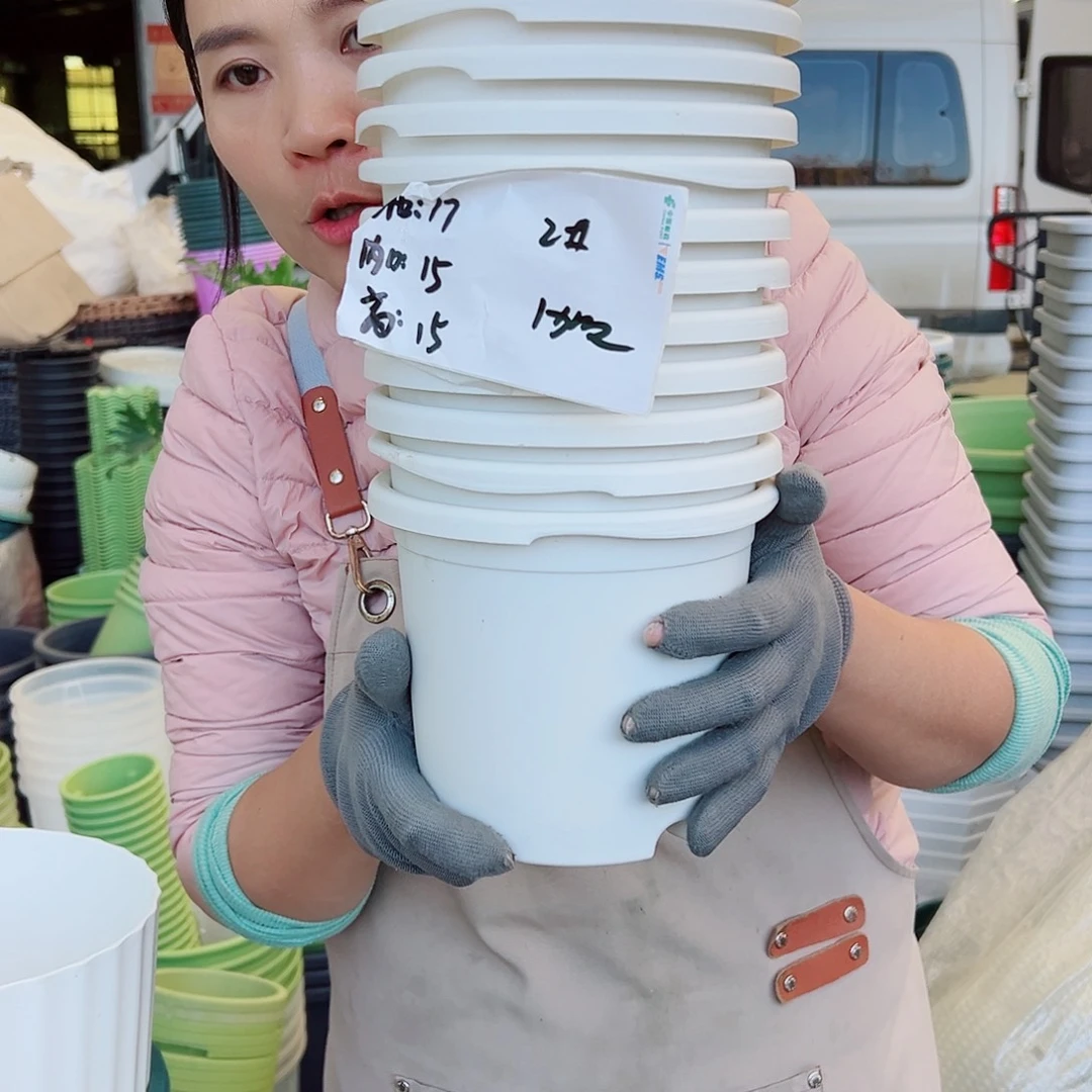 瑕疵四季盆2#白色12个无托