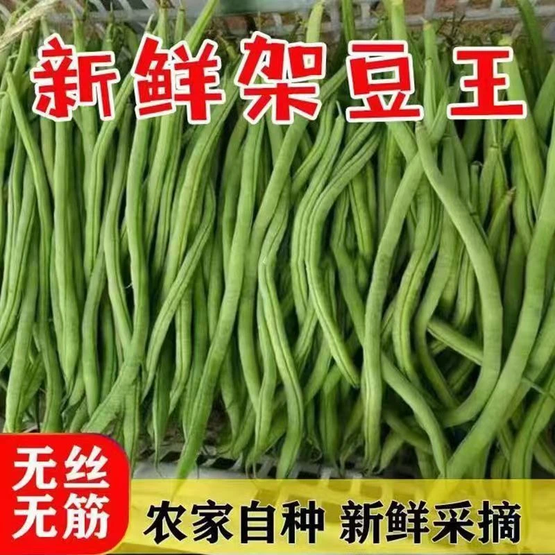 【架豆王】云南正宗无筋豆龙豆角新鲜蔬菜现摘现发整箱批发包邮