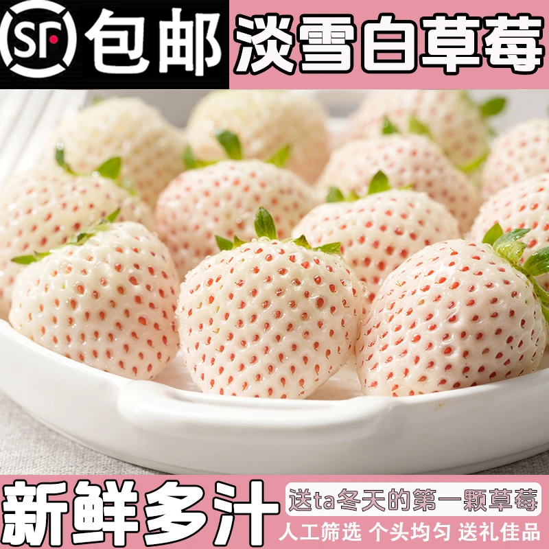 淡雪天使草莓白雪公主当季水果新鲜奶油草莓现摘孕妇草莓