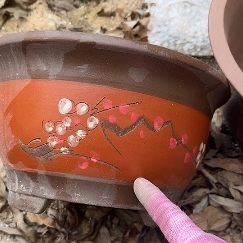 紫砂红富贵点彩大花椒叫花盆