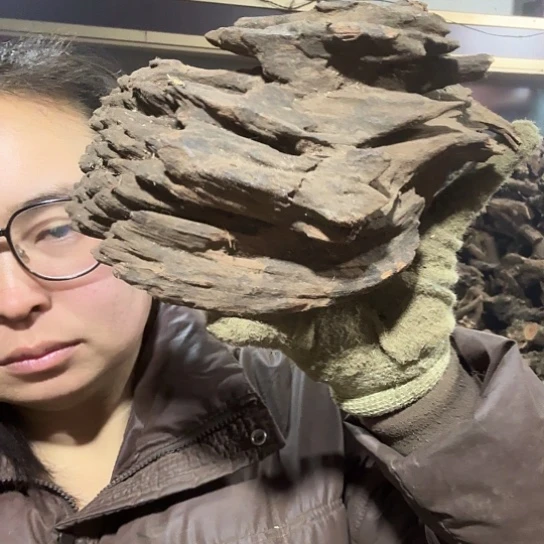 香榧木万****心火琉璃的故事也毛料