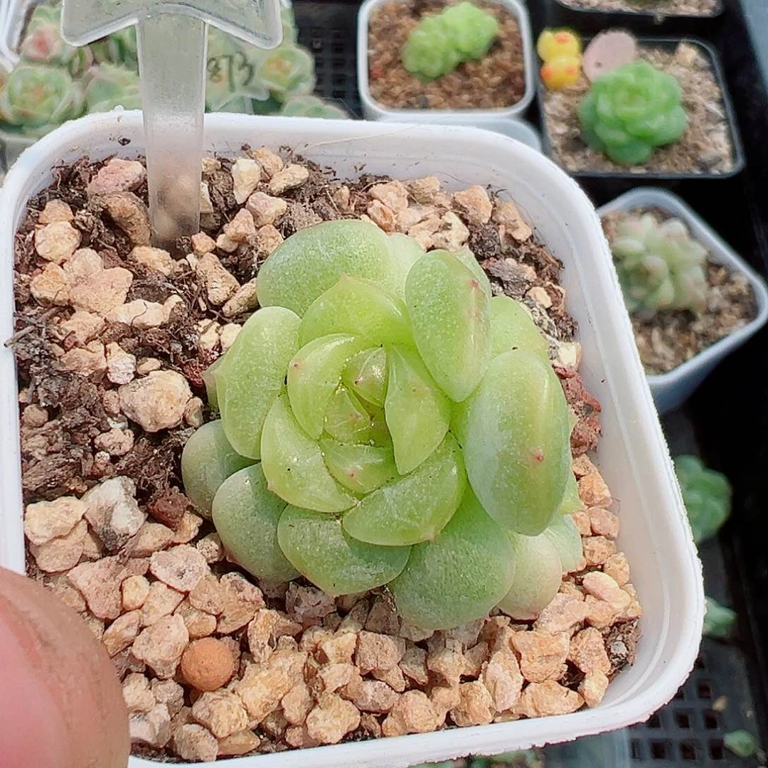 218哈哈哈哈哈哈哈哈