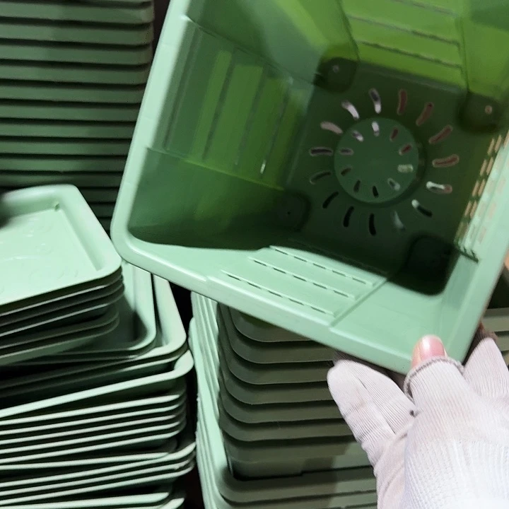 方22口径6个无托浅绿