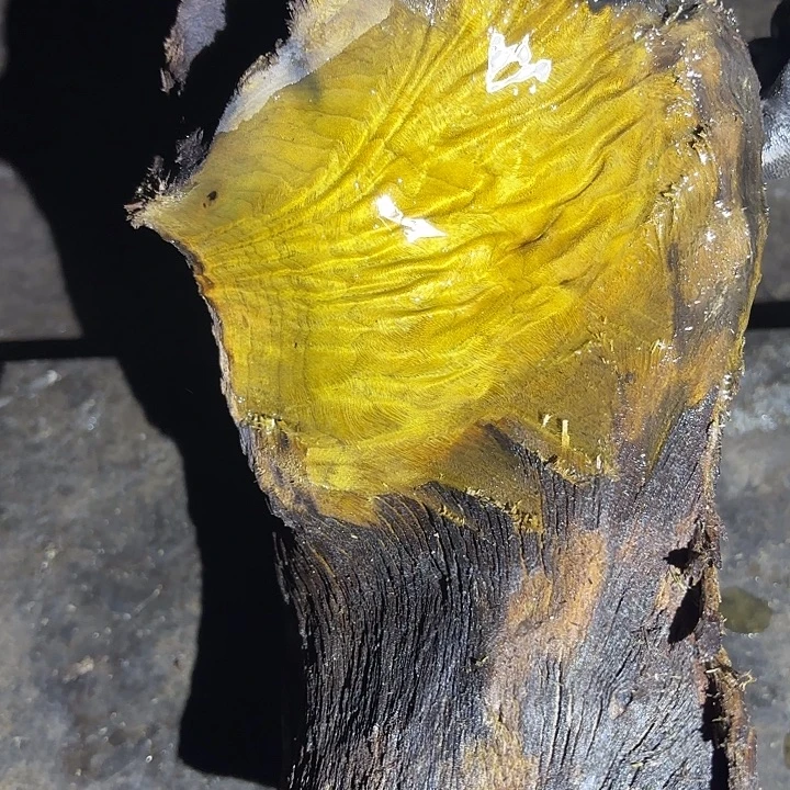 乌木金丝楠摆件毛料