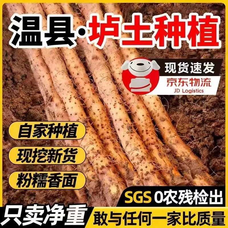 河南焦作温县新鲜垆土铁棍山药软糯香甜滋补优选食材净重