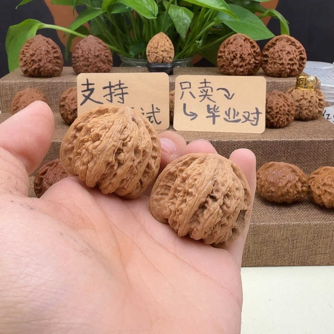 全品密纹40/38/34