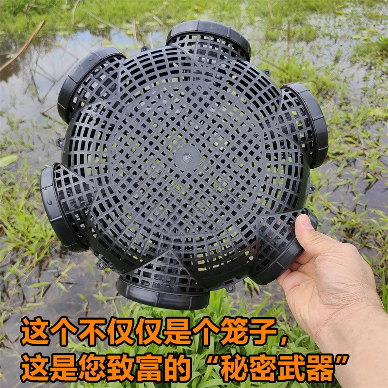八孔黄鳝笼新款鳝鱼笼子塑料捕鳝神器泥鳅笼鱼虾笼倒须捕鱼笼