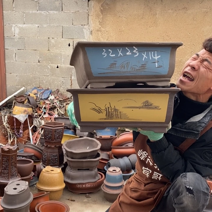 红陶这样我也可以好好休息了