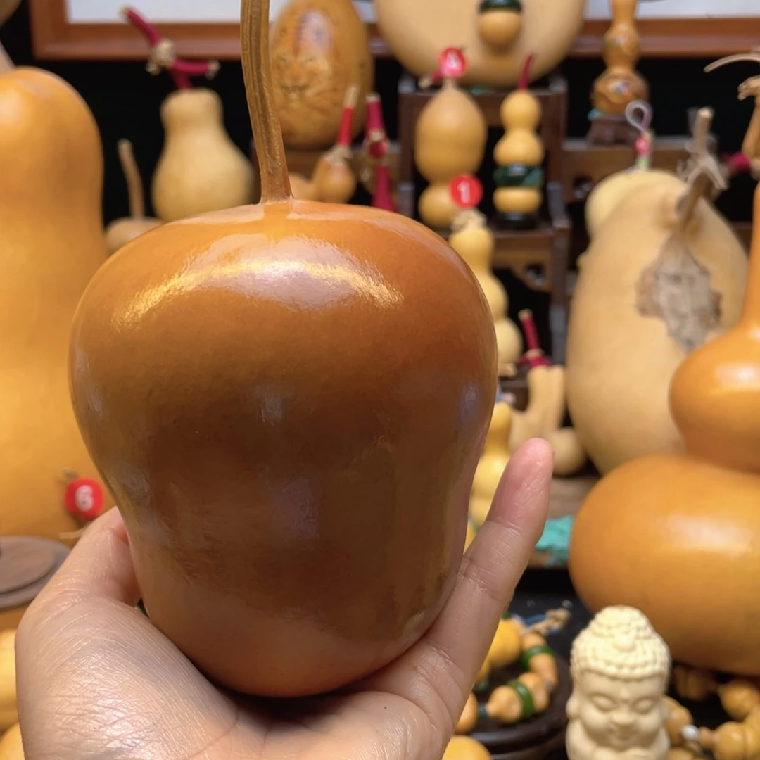 茶*大自然的秘密第十一节的