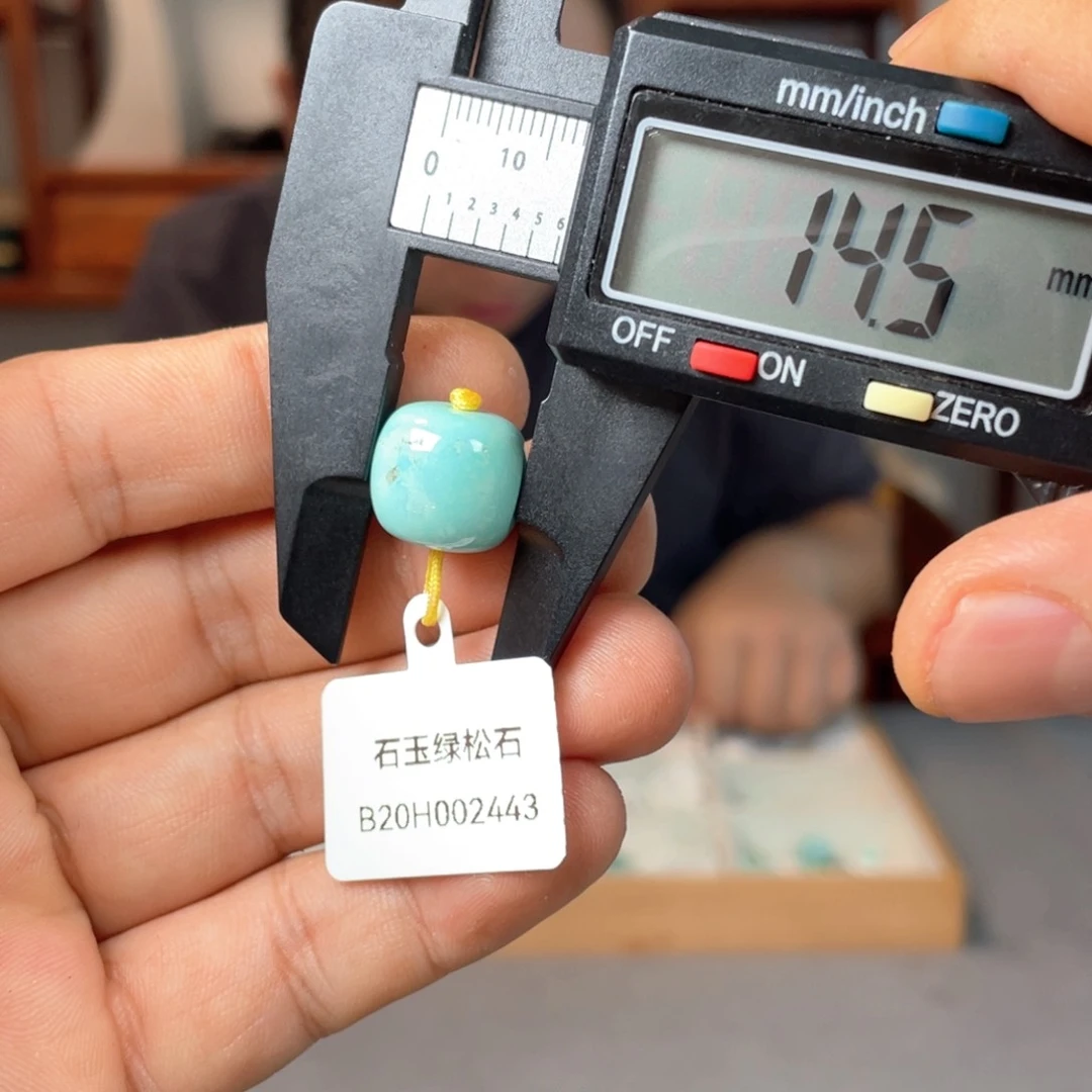 绿松石未镶嵌颈饰