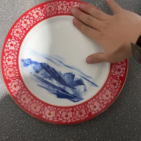 瓷其他10寸盘一个