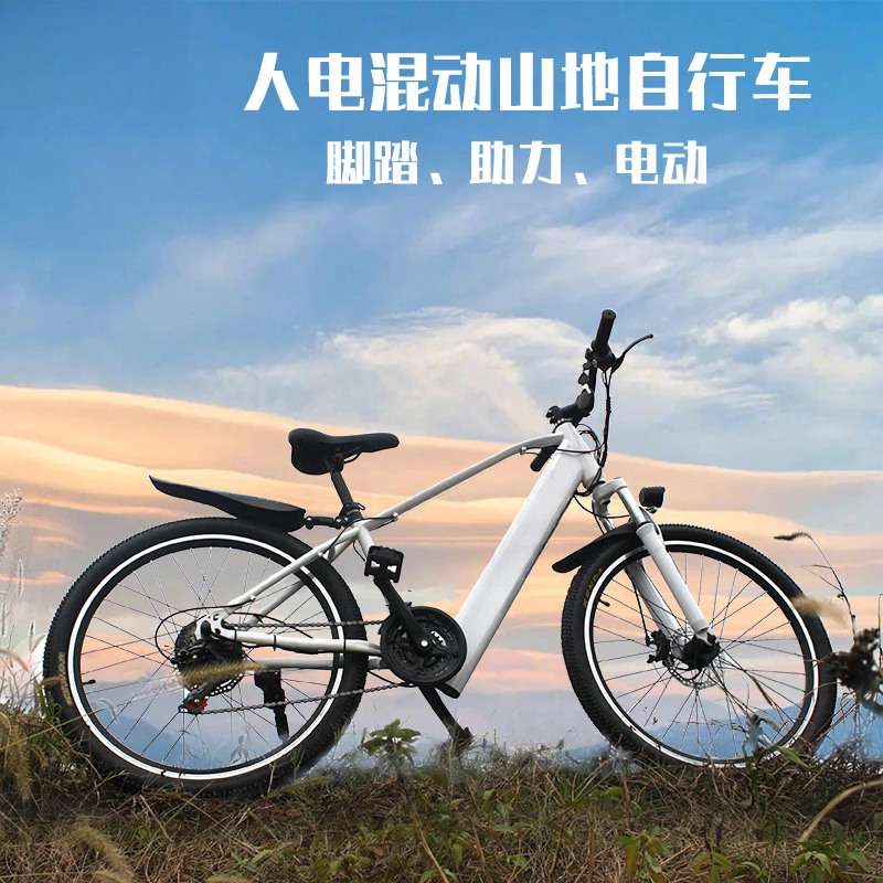 德国Agan36V-电动助力山地自行车智能防盗单速变速变档自行车锂电