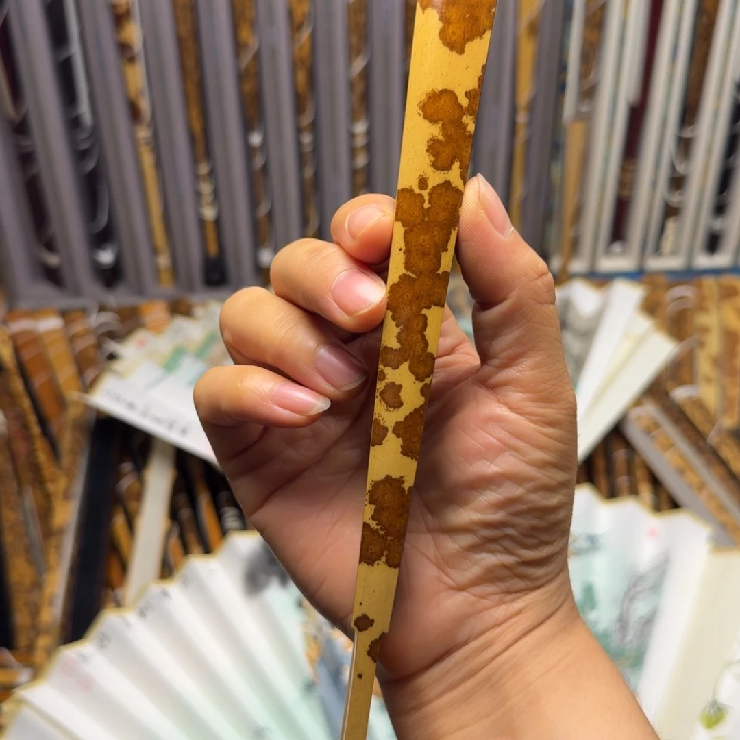 扇子仲*刘军老师老云妃