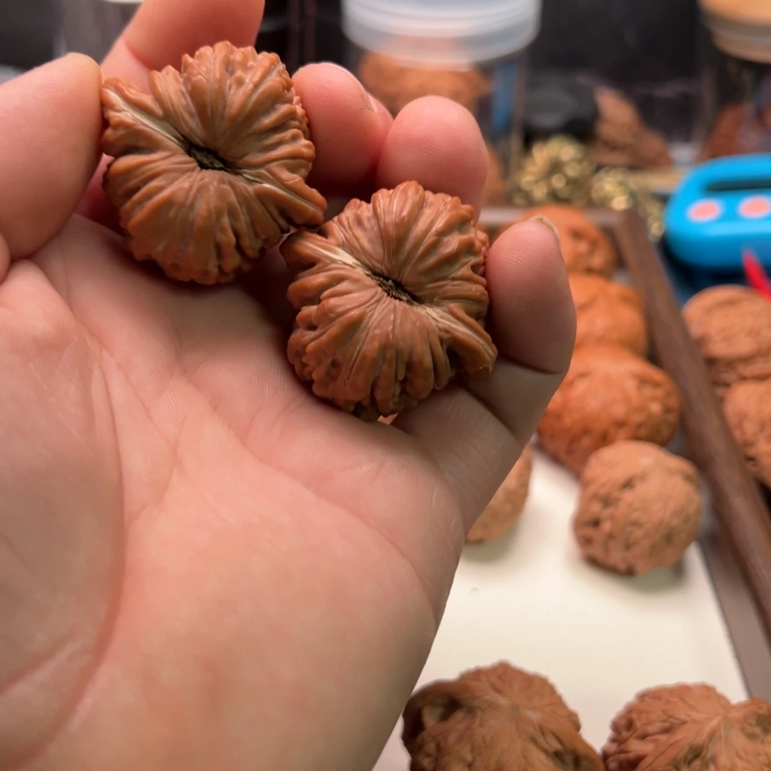 文玩核桃把件健健康康来咯哦哦哦哦哦哦