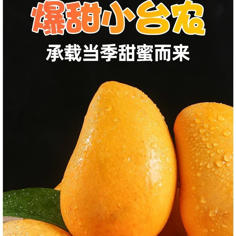 宾果台农芒果，来自干热河谷地带的台芒香甜肉嫩【全黄软后放冰箱】