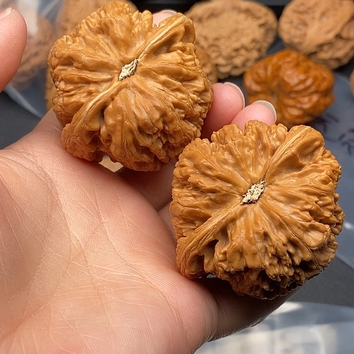 文玩核桃吊坠我***迷47大粗筋