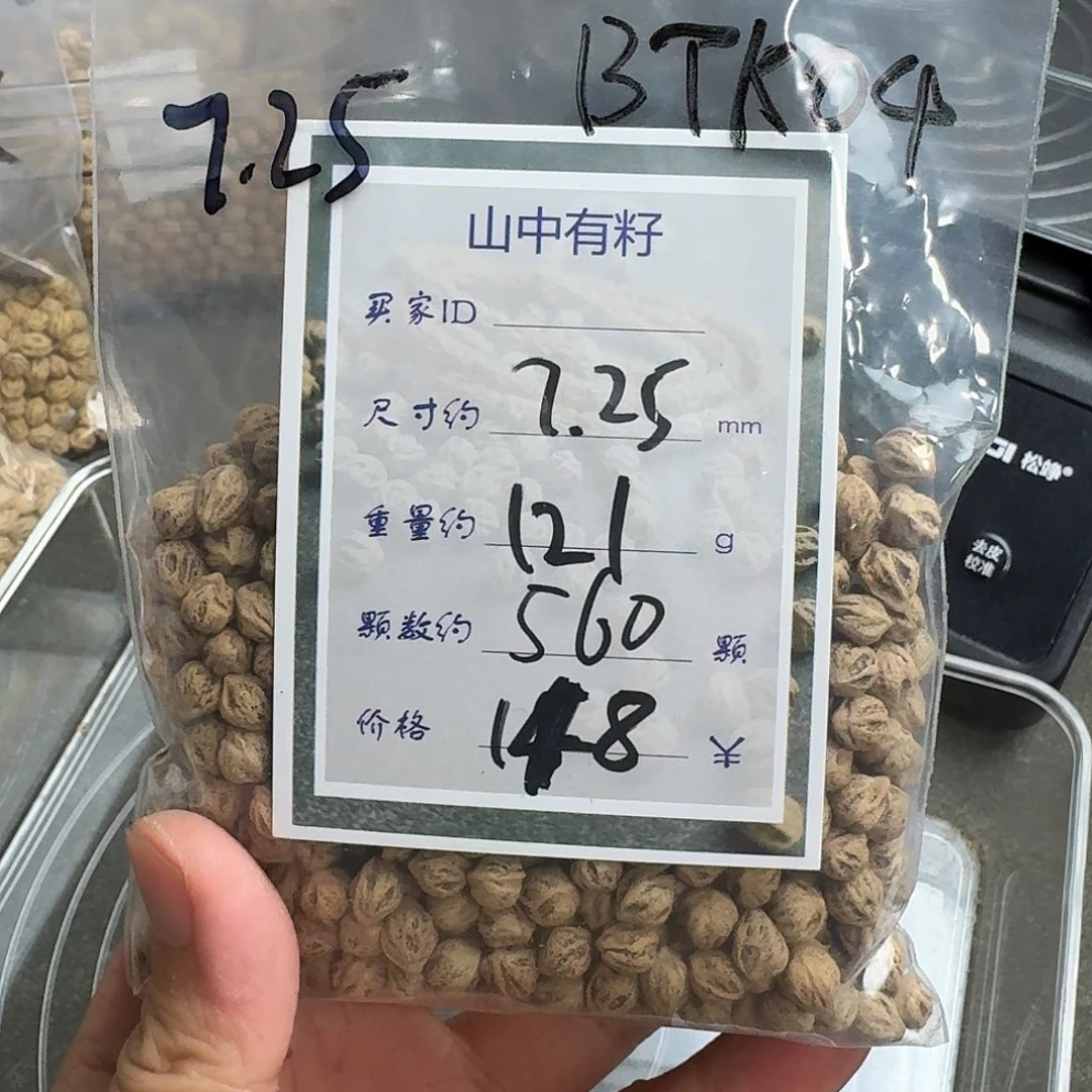 柏香籽/百香籽吊坠?****Z