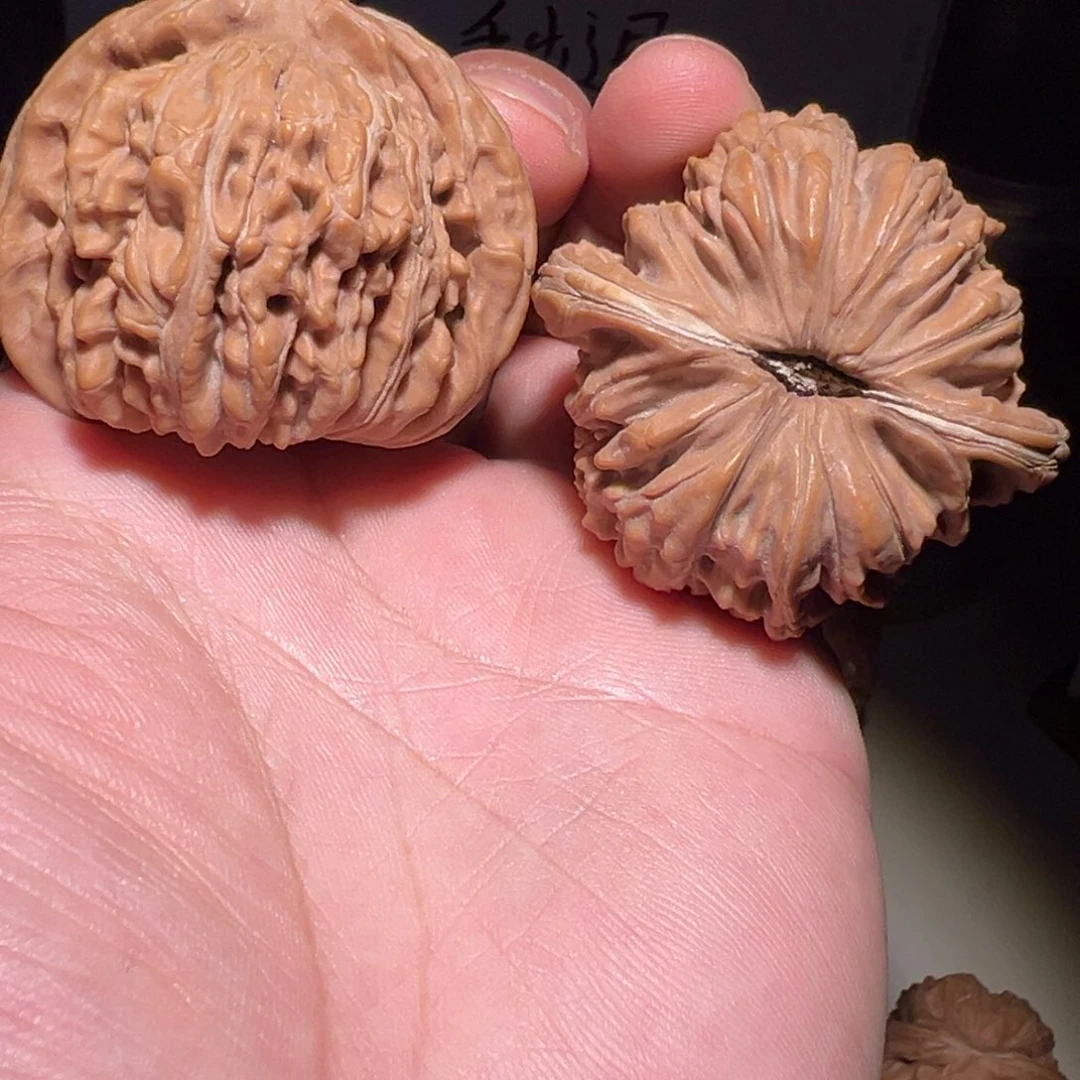 核桃47尺全品平谷四座楼