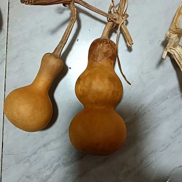 熙葫芦葫芦葫芦葫芦葫芦