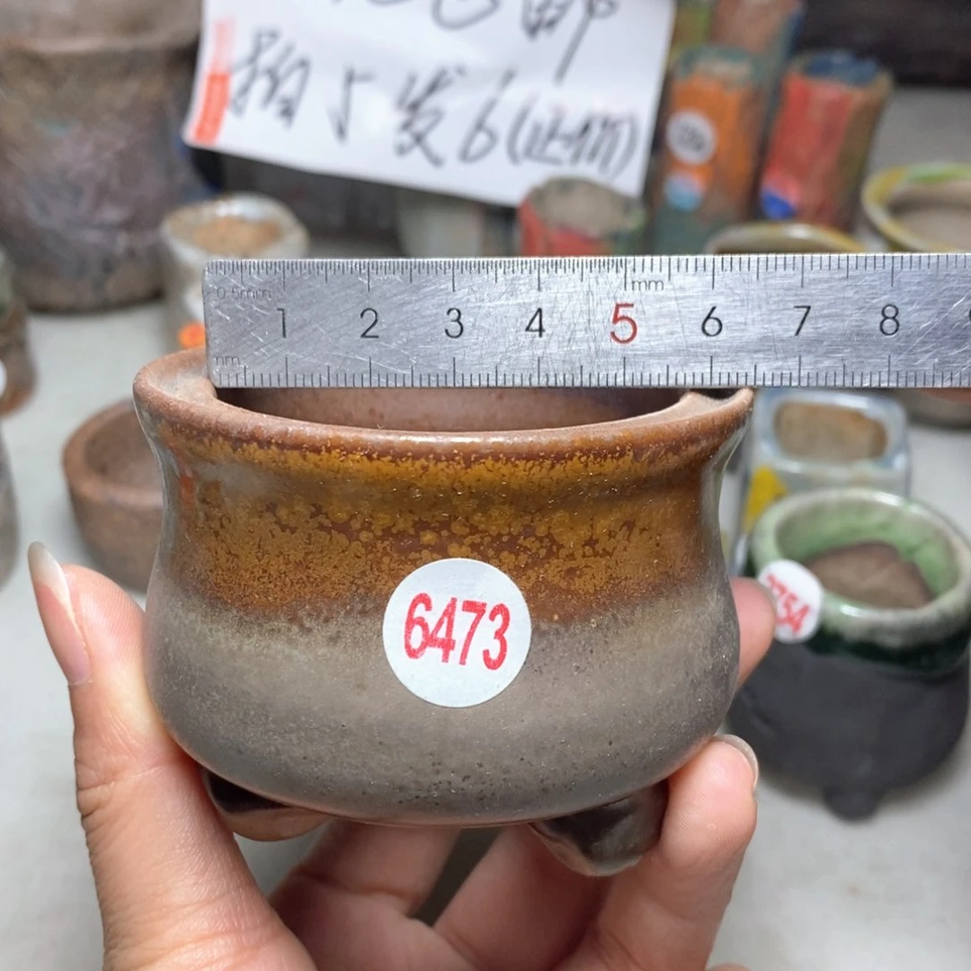 拍3送一个小礼物