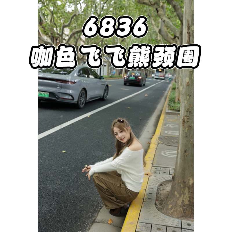 个性百搭咖色飞飞熊颈圈6836