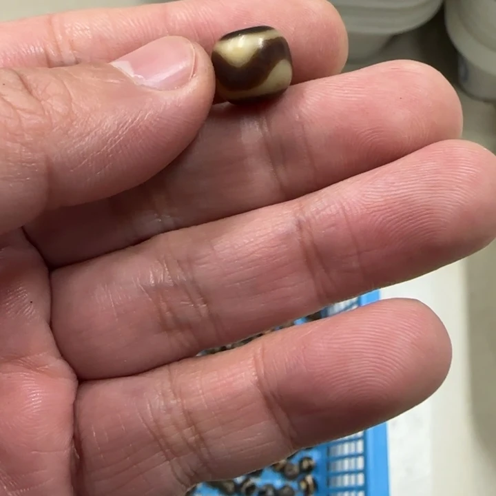 白玉菩提吊坠黑色4848发1颗