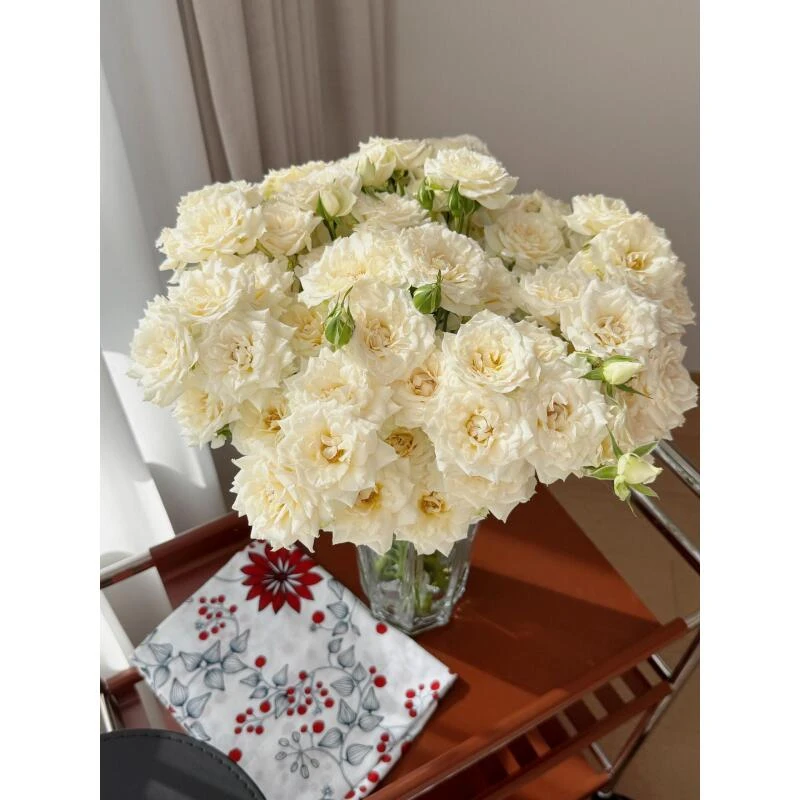 永恒罗拉 多头玫瑰[两单升级空运]