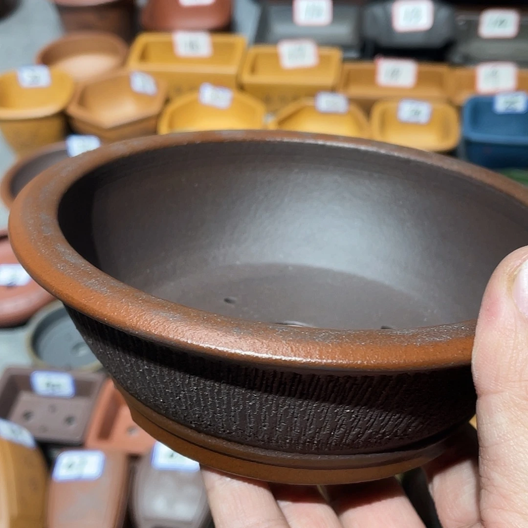 狂***后紫砂小盆13.5*4.5cmmmm