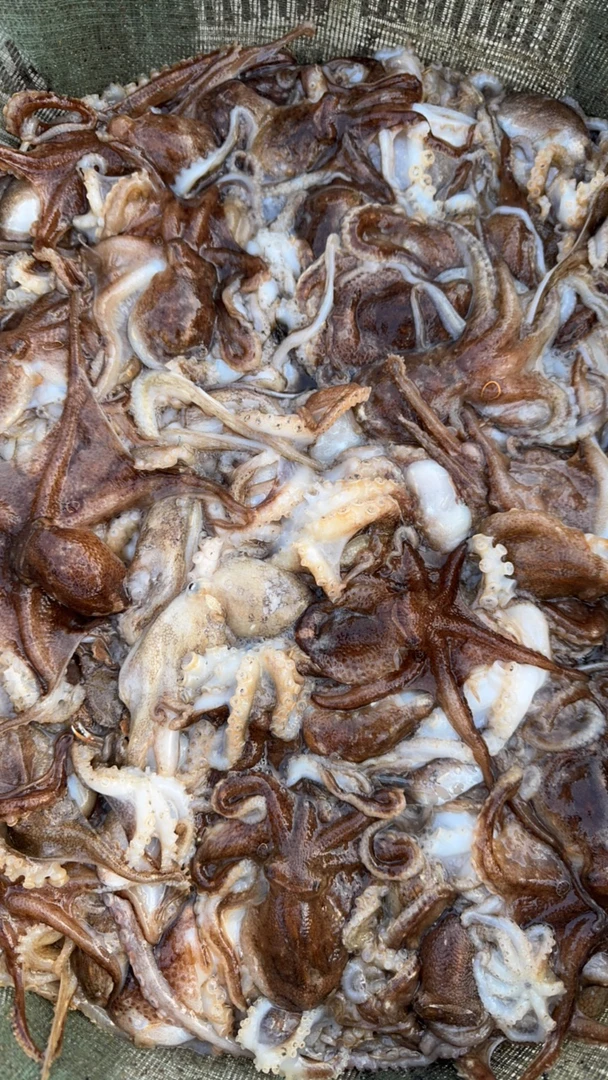 活八带，啊不泡淡水，有带子