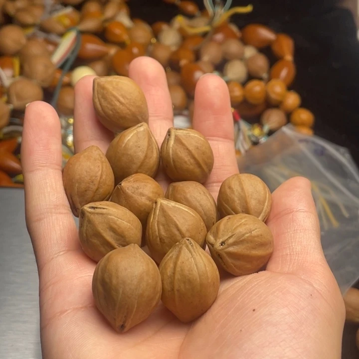 橄榄核手串/手链1.8