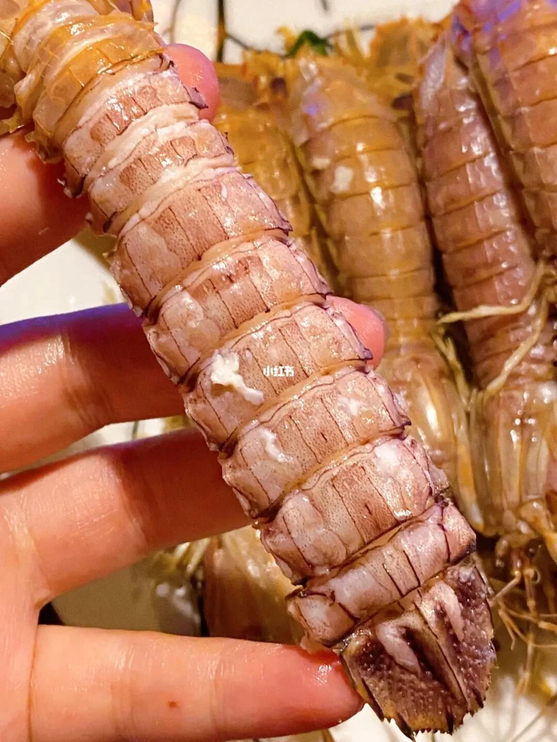 zzz皮皮虾包肥中号公虾婆虾蛄冷冻濑尿虾富贵虾非即食大虾2斤