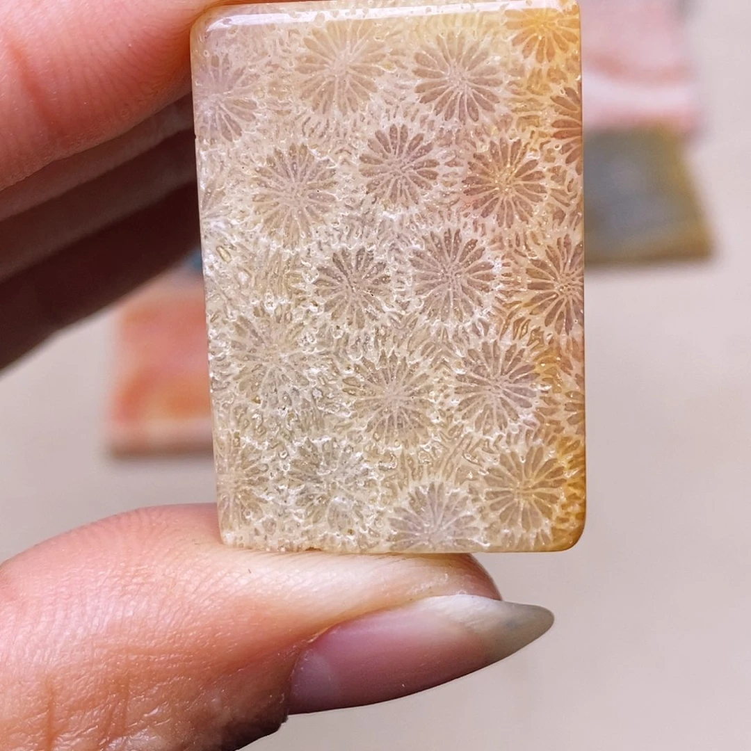 鱼***鱼硅化玉合金珊瑚玉