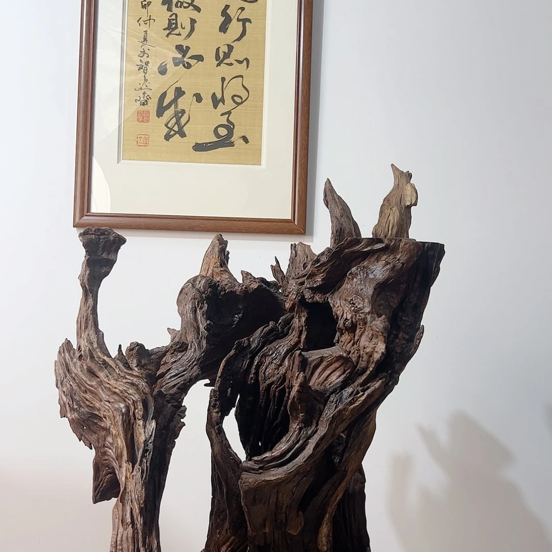 木龙*沐风根艺摆件摆件715