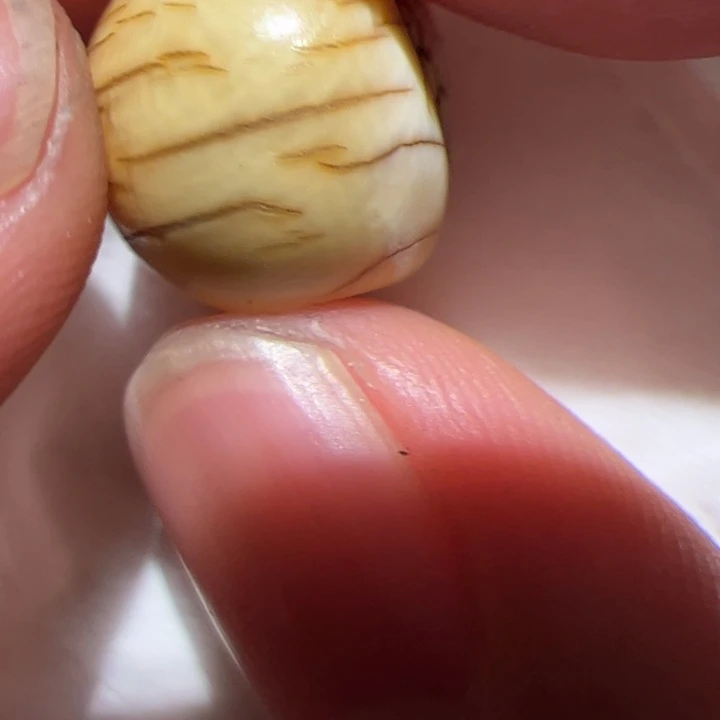 玻璃DIY你在一起吗