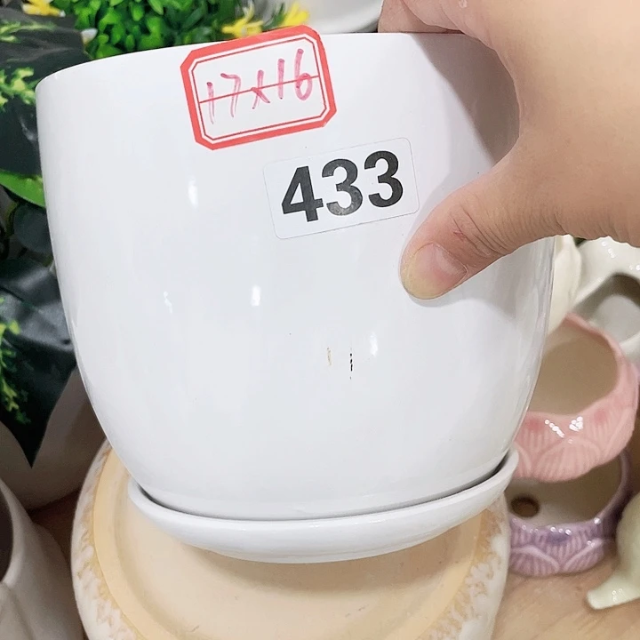 花盆花盆花盆花盆花盆花盆花盆