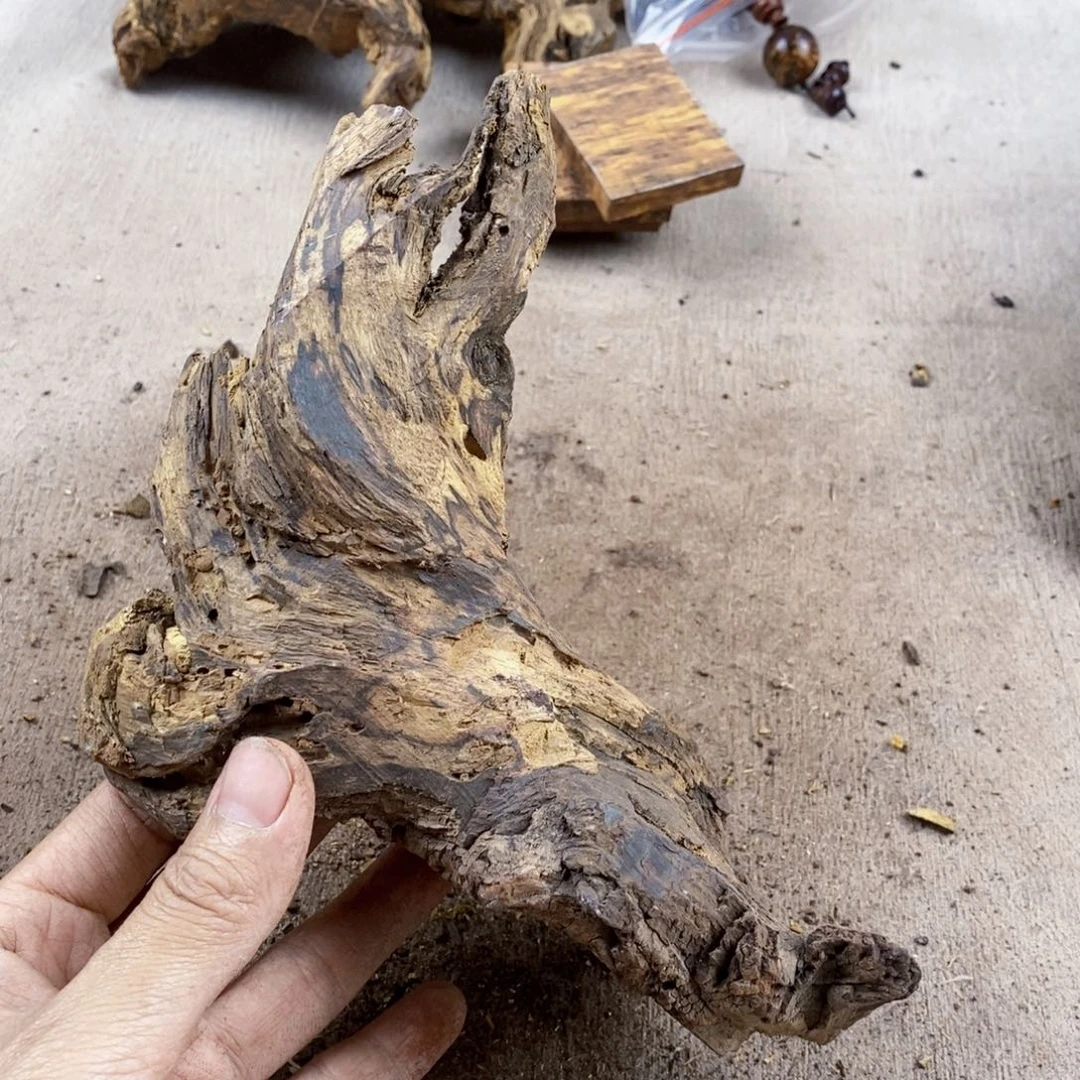 黄花梨/降香黄檀沙**狼