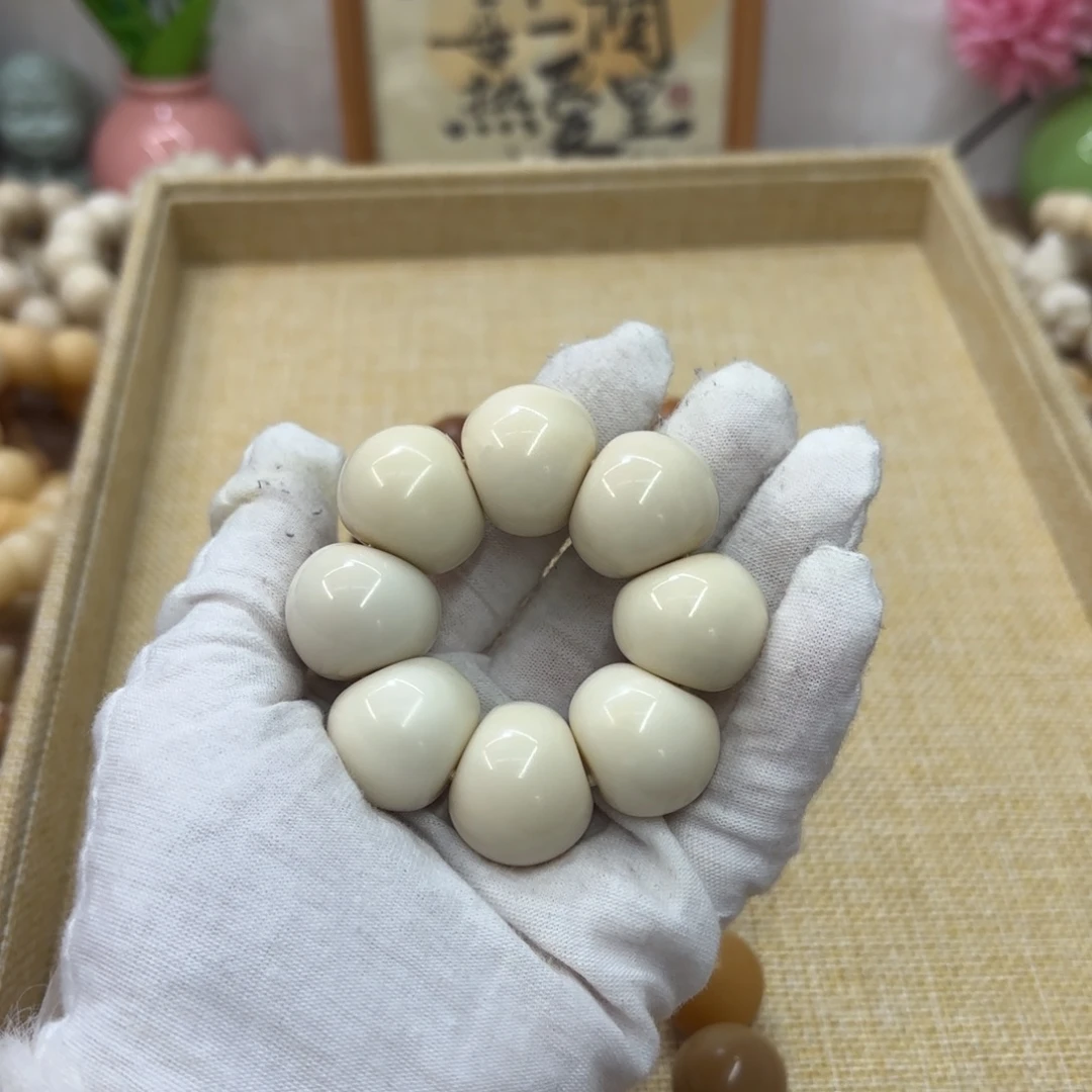 菩提根/象牙果吊坠22干磨牙果山竹083