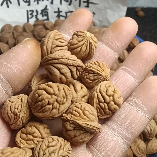 卖***家吊坠桃核大龙纹野生山桃核23.5元一斤随机发