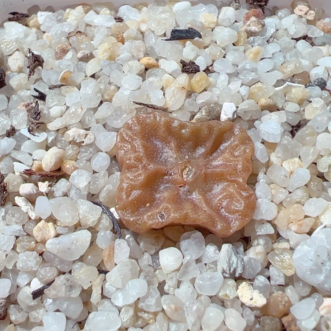 C***_0205-220.我是真的