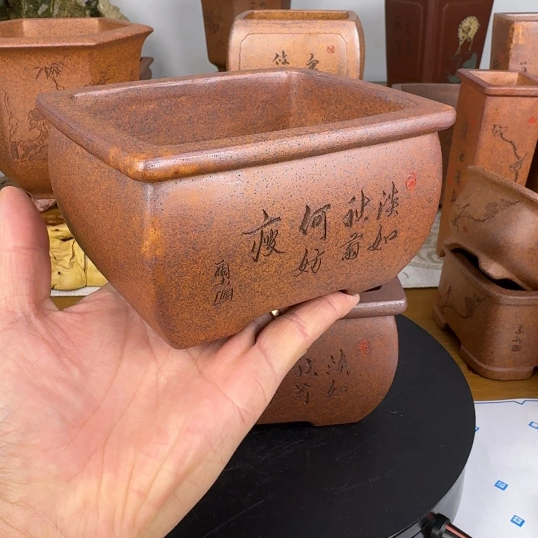 紫砂花盆墨**开紫砂花盆
