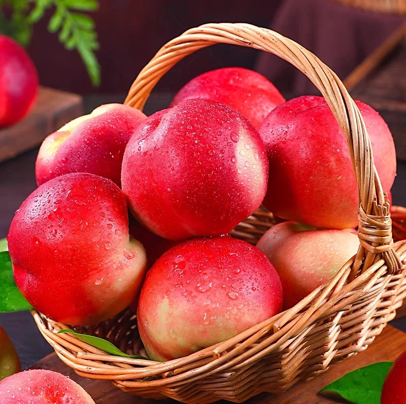 【顺丰包邮】湘西高山阳光珍珠蜜枣油桃新鲜采摘现摘现打包发货