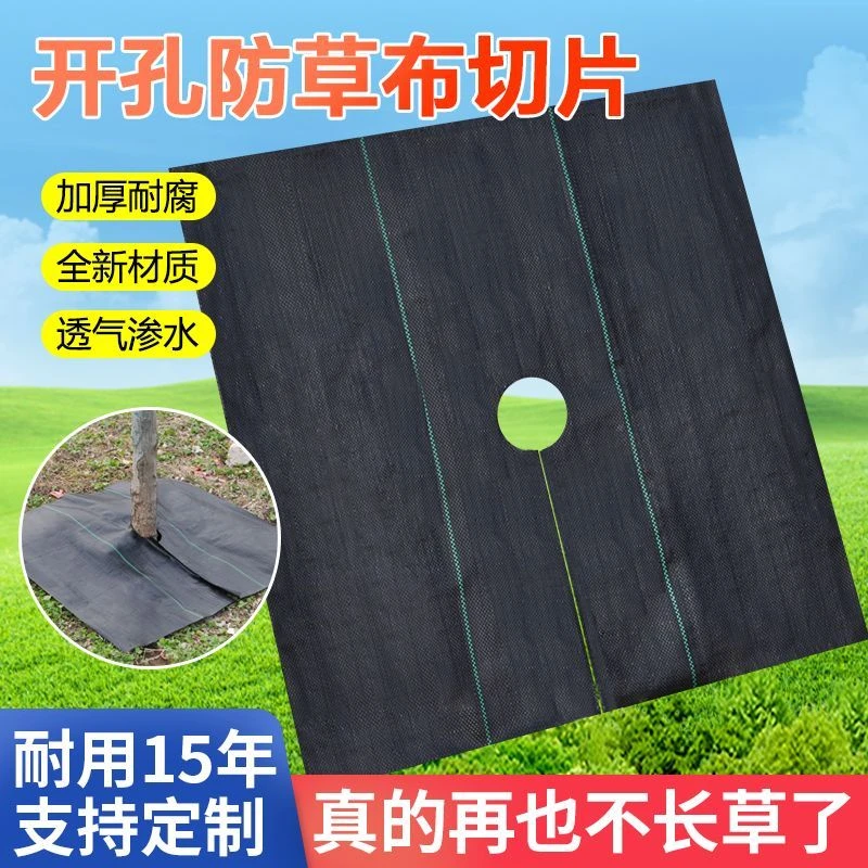 防草布切片农业打孔盖草布防草柑橘脐橙枇杷零裁除草布抑杂草地膜