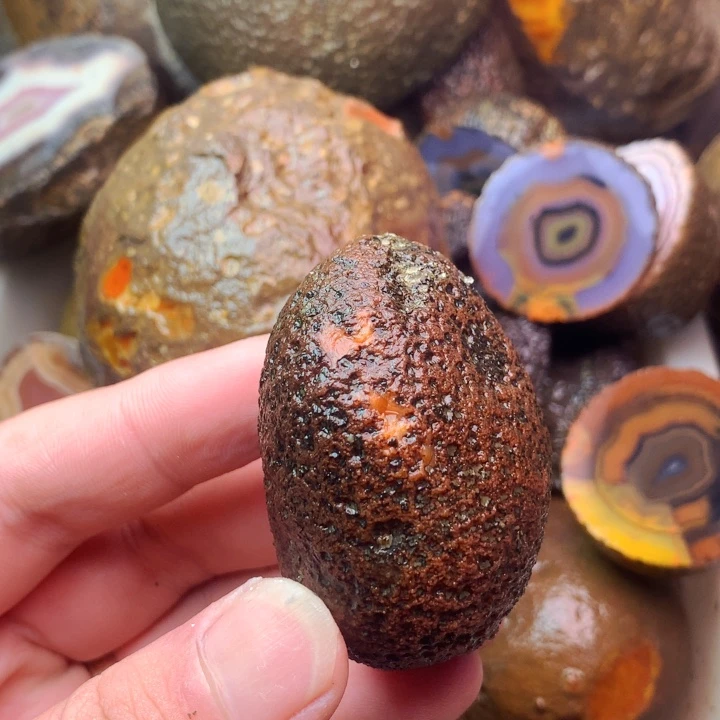 定制玛瑙雪****）定制战国红玛瑙